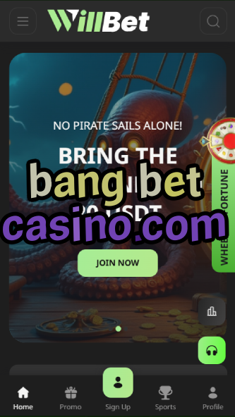 bang bet casino.com-asdasdzhjkds.com