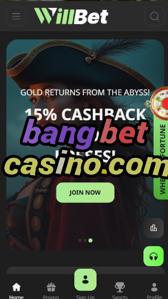 bang bet casino.com-asdasdzhjkds.com