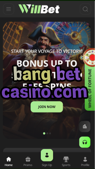 bang bet casino.com-asdasdzhjkds.com